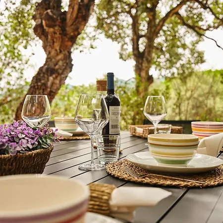 Casa Roques Negres 圣塔克里斯蒂纳阿鲁